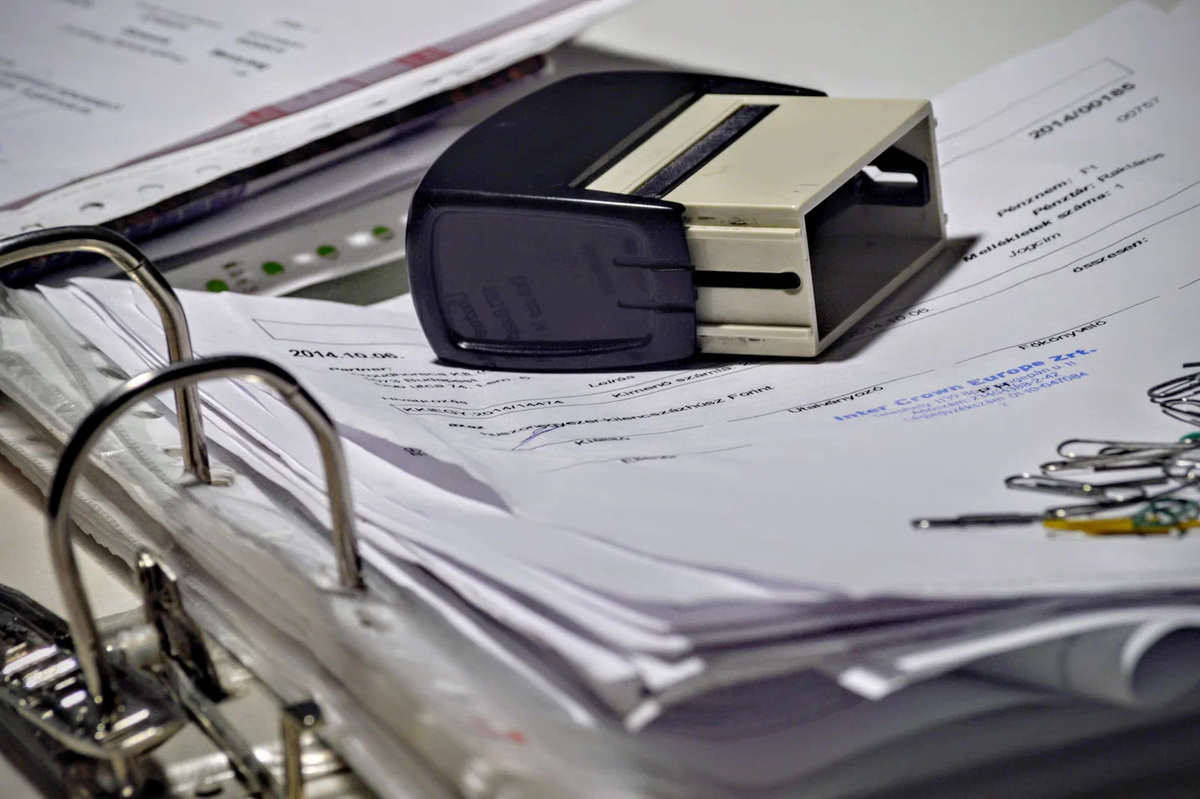  roam in color (Unsplash)