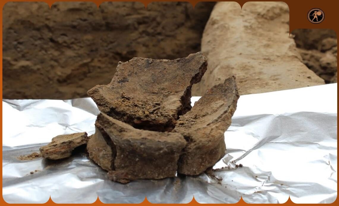 Основание неолитического кувшина, найденного на неолитической стоянке в Грузии. Исследователи обнаружили остатки вина на черепках керамики на двух грузинских стоянках, датируемых 6000 годом до нашей эры