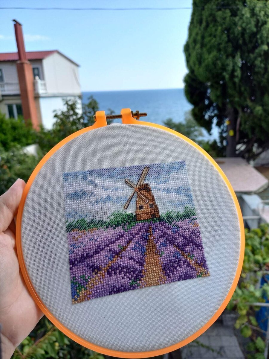 Фото автора. Вид из окна 