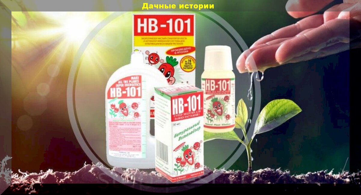 https://vk.com/photo-159774511_457264254