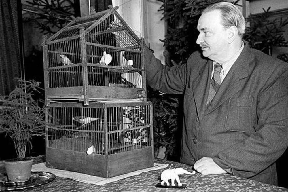    Виталий Бианки не раз говорил, что с птицами пришла на Землю радость. / Архив "РГ"