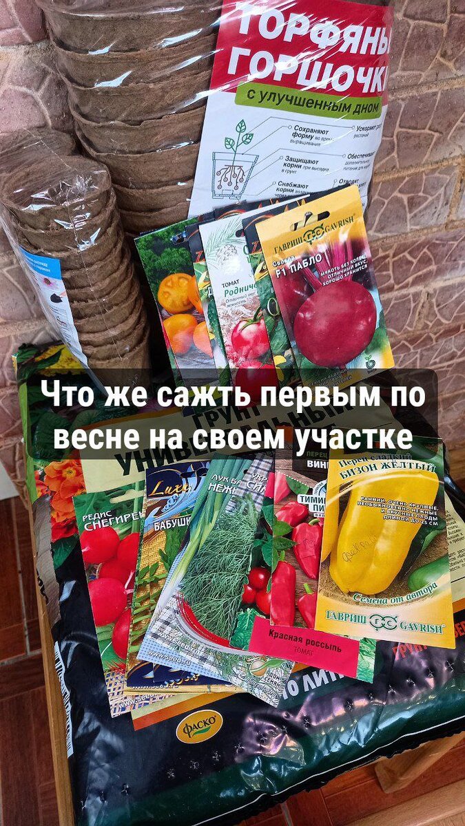 Плавно начинаем огородный сезон 2024