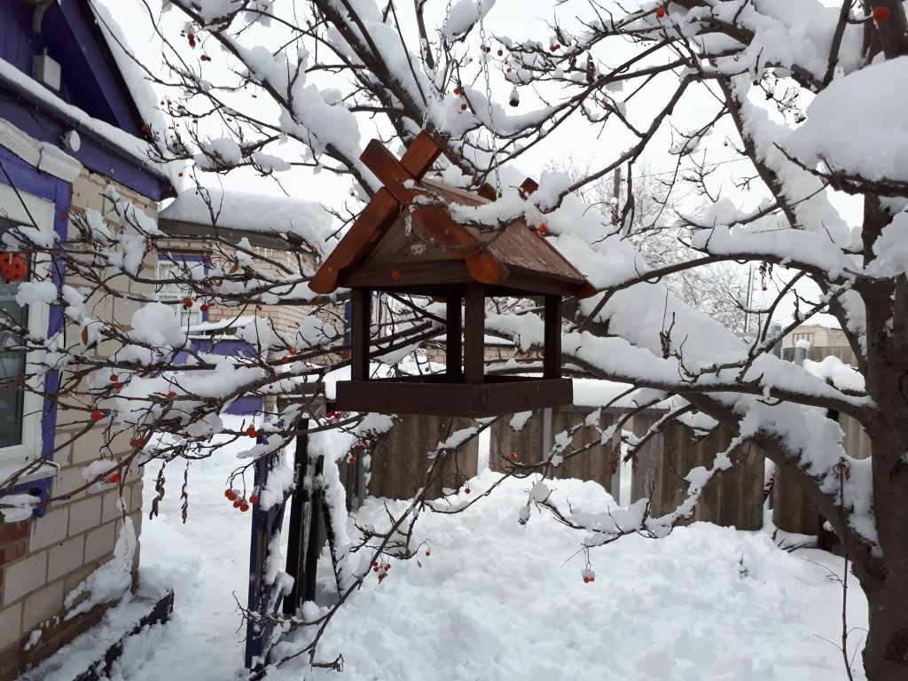 Сделать кормушку своими руками несложно. Работа одного из участников FH.ru