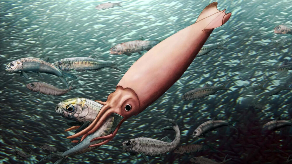    Фото: Wikipedia.org