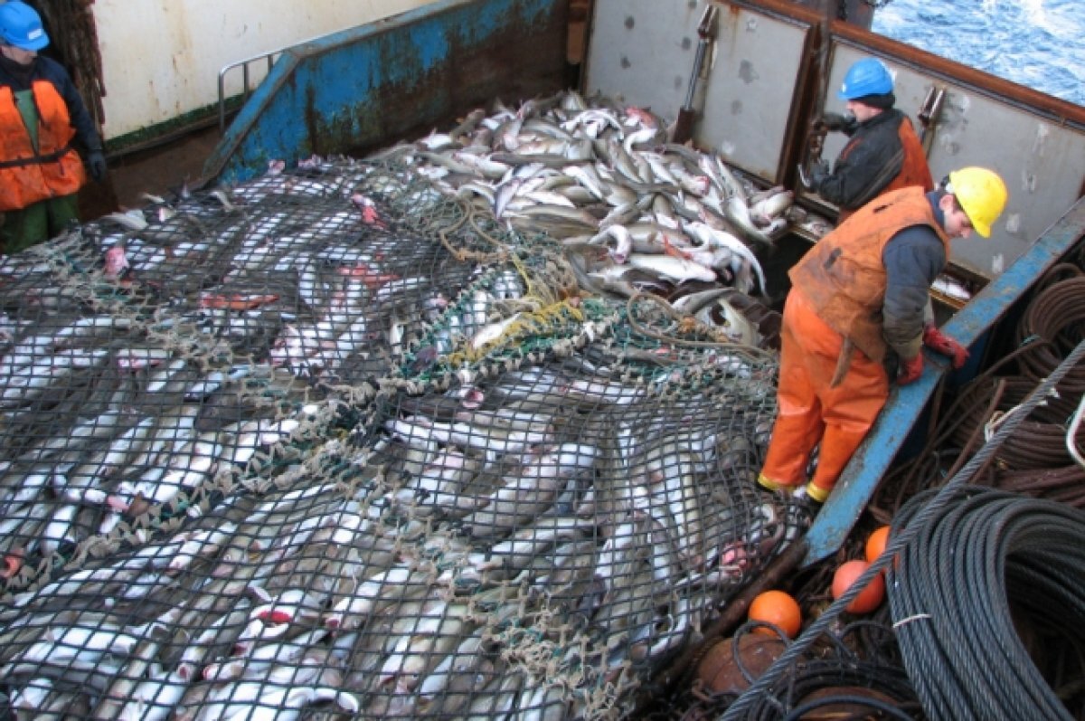    Зиланов: соглашение с Великобританией не действовало уже почти полвека