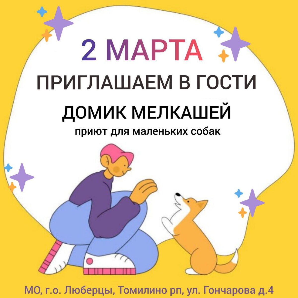 2 МАРТА! Приют Домик Мелкашей! Приезжайте знакомиться с собачками в первые  дни весны🌸 | Домик Мелкашей - приют маленьких собак | Дзен