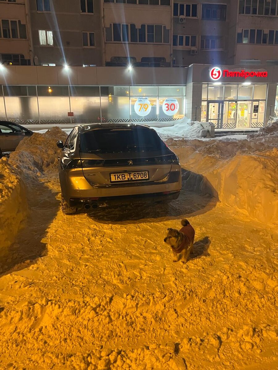 Как мы покупали автомобиль Peugeot 508 в Республике Беларусь или как  работает наша ФТС. | АВТОПОДБОР КУПИТАЧКУ | Дзен