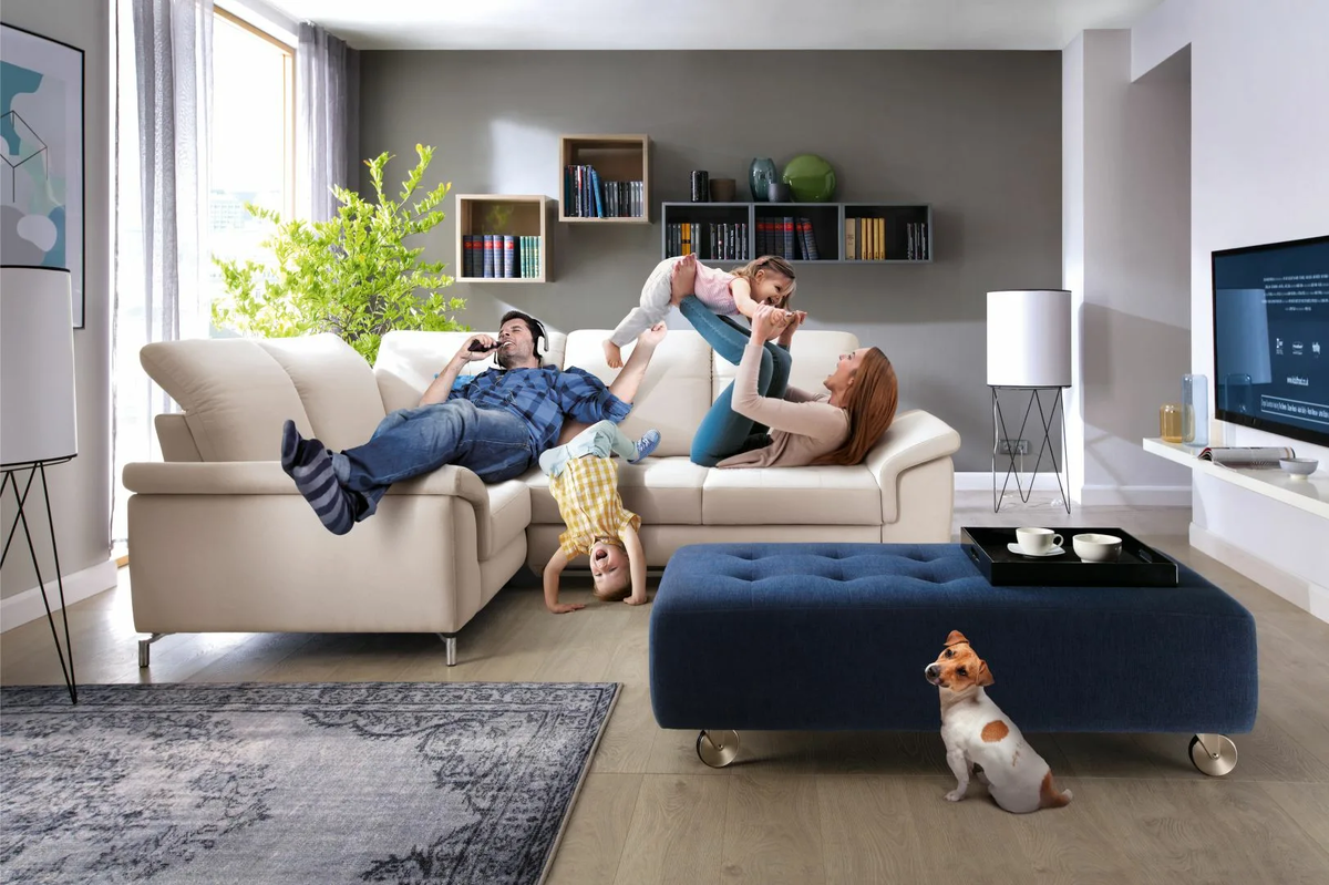 Фотография взята из источника yandex.ru