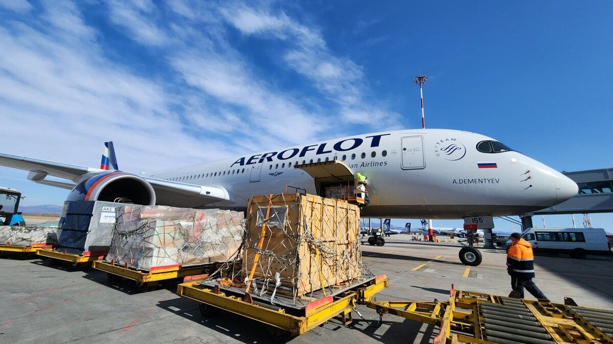     Тигра, который получил пулевое ранение, «Аэрофлот» доставил в Москву. Полосатый прилетел туда, чтобы отправиться в центр «Дом тигра» в Ленинградской области.