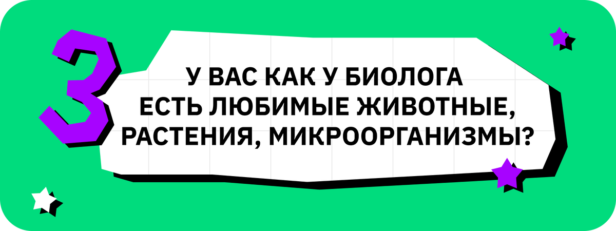 Специальность менеджмент предметы егэ. Менеджер специальность. Специальность менеджмент предметы егэ. Специальность менеджмент предметы егэ. Список предметов егэ.