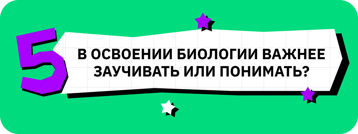 урок биологии в старших классах. картинки по биологии. картинки на тему биология. учебный предмет биология. типы учебных предметов биология.