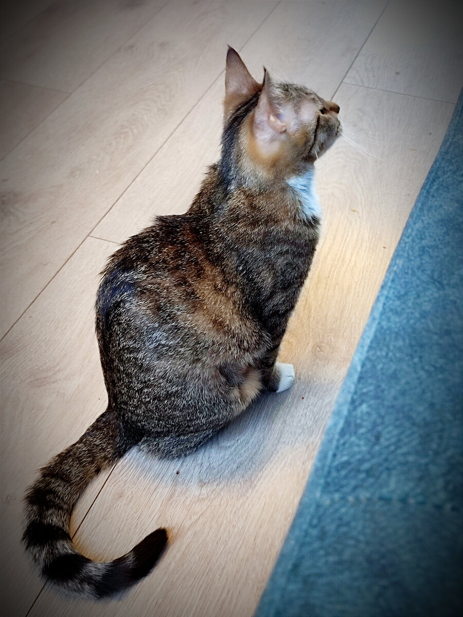 Бандитский вид