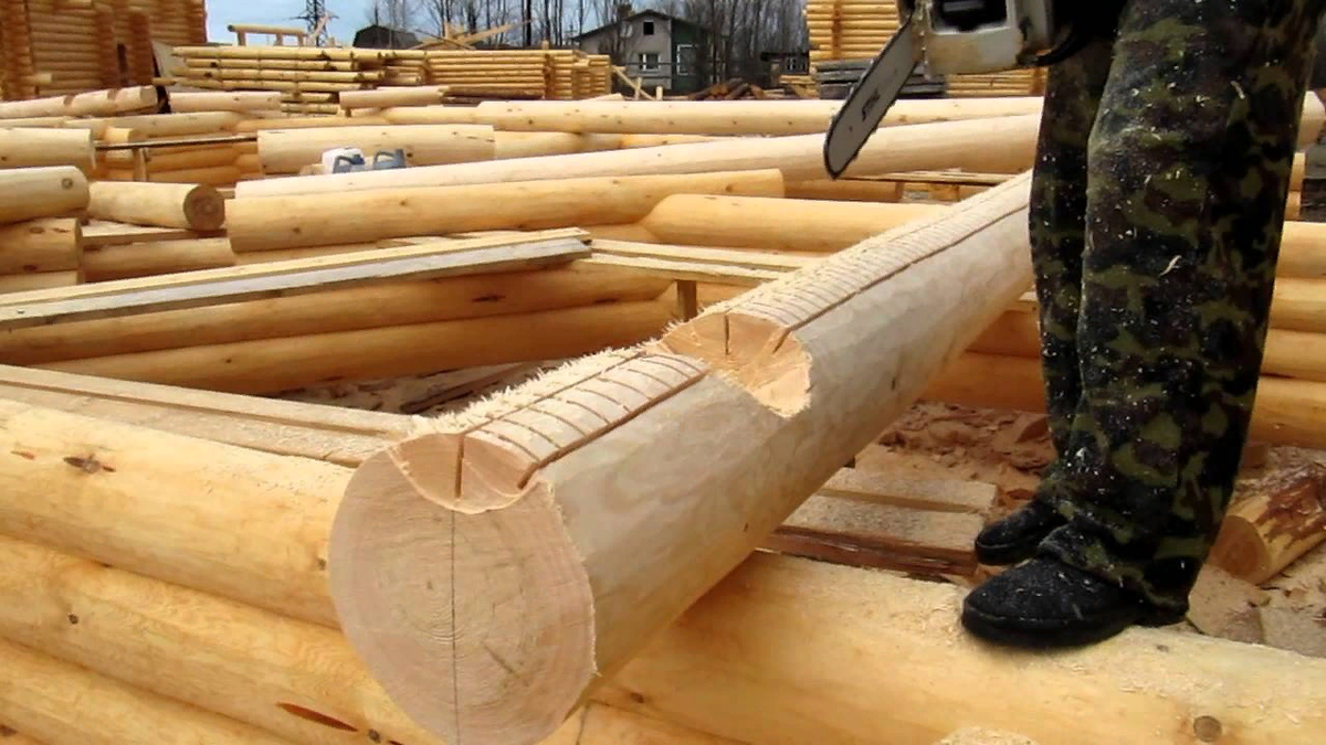 Баня из оцилиндрованного бревна 6х8. Срубы 1. Дом из оцб одноэтажный. Дом из оцилиндрованного бревна викинг. Бревенчатый дом скандинавия проект.