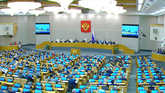    ГД приняла в третьем чтении закон о запрете рекламы на ресурсах иноагентов Алина Городниченко
