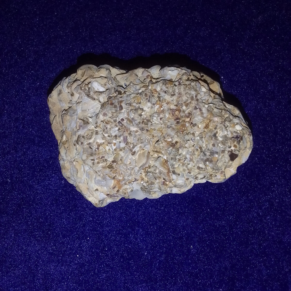 Он же с другой стороны. Фото автора