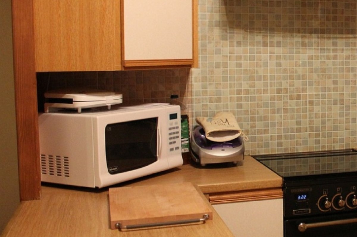    Профессор РАН Пятаков опроверг миф о вреде микроволновок для здоровья