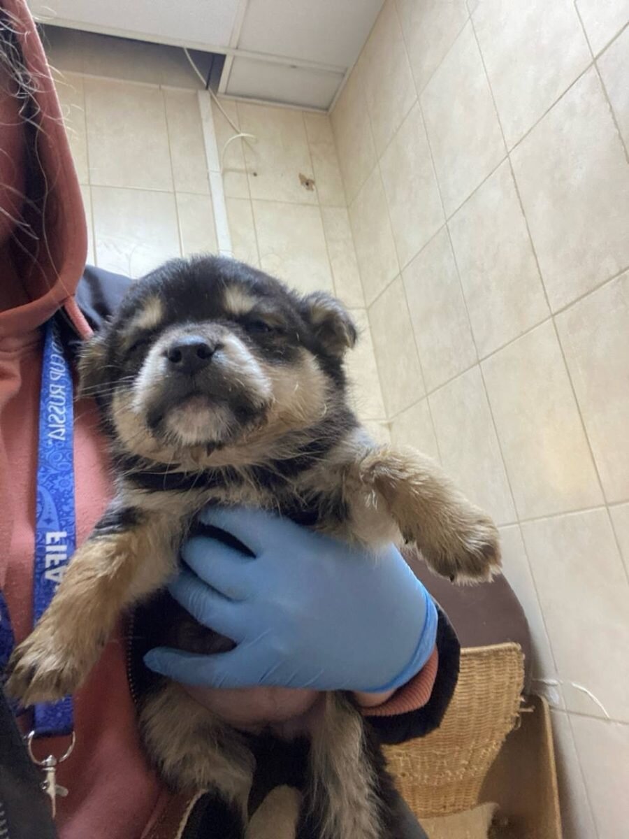    Сострадание НН ВКонтакте