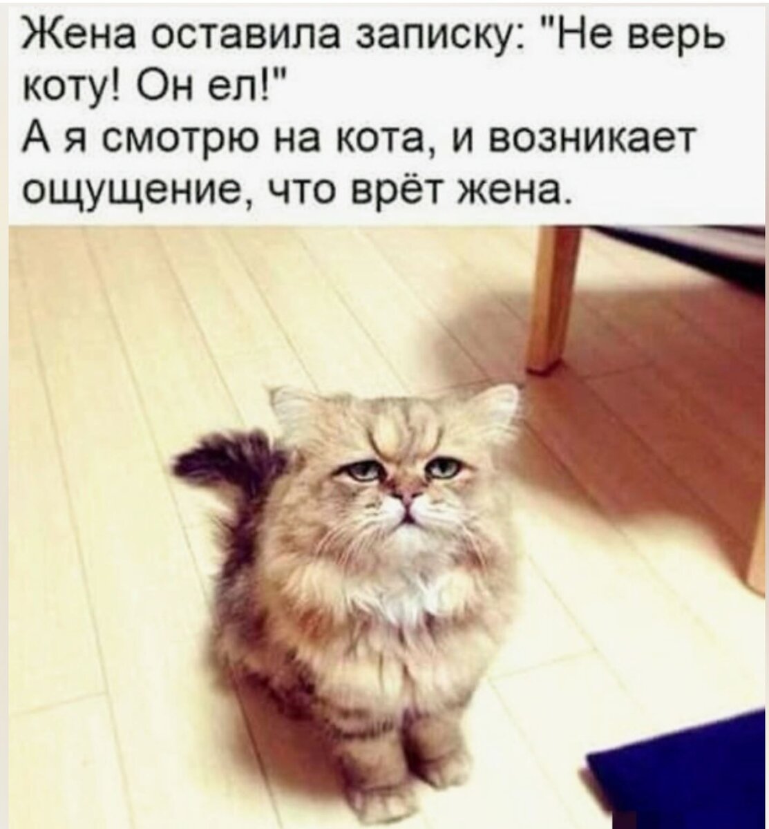 источник Яндекс-картинки