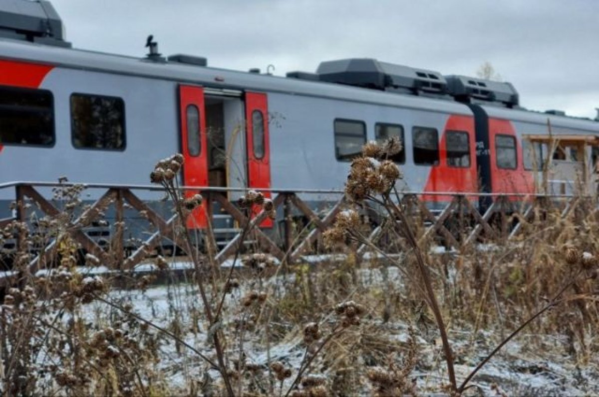    СвЖД назначила туристический поезд на праздник весны в «Оленьи ручьи»