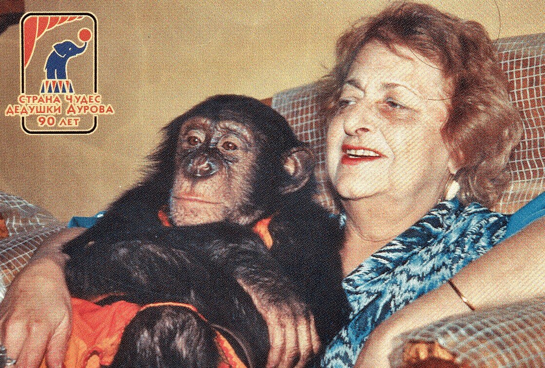 Звери и птицы - моя жизнь" 2024, Казань - дата и место проведения, программа мер