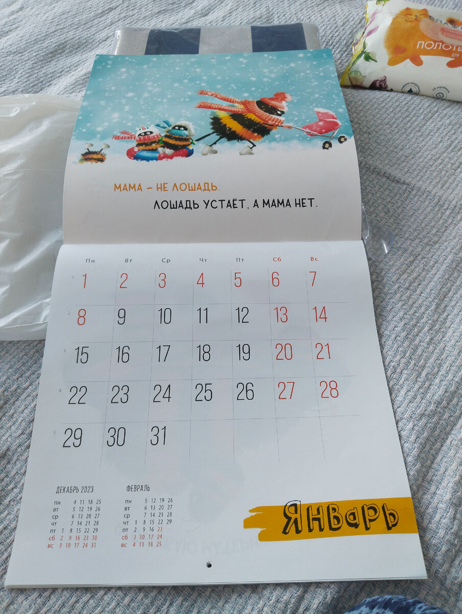 Все-таки прикольный календарь я прикупила. Не знаю, как они угадали, но январь (а также декабрь и февраль) у меня прошел именно под этим девизом. 