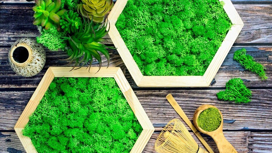 своя кружка инструкция