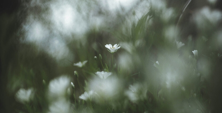 Фото: unsplash.com