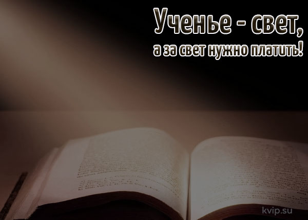 КВиП обучают и поддерживают своих сотрудников, мы за рост компетенций каждого в команде!