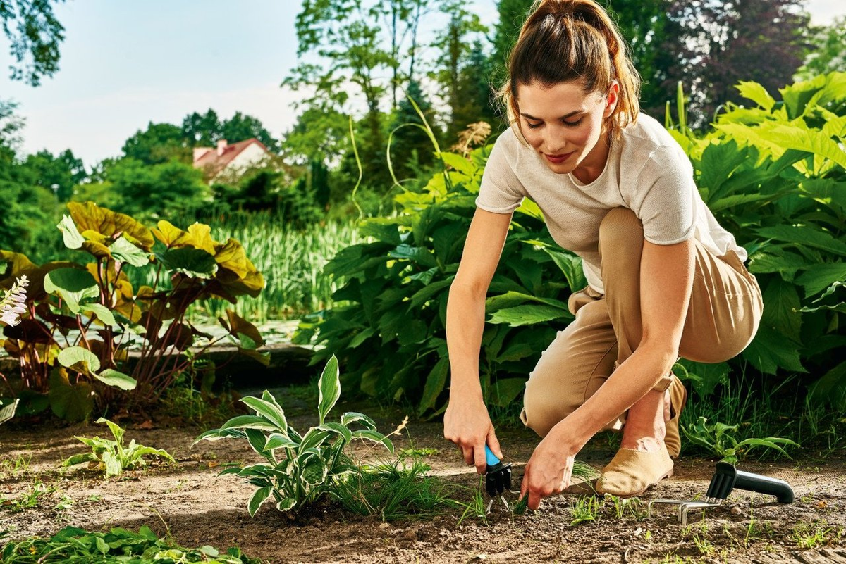 Изображение с сайта kartinki.pibig.info