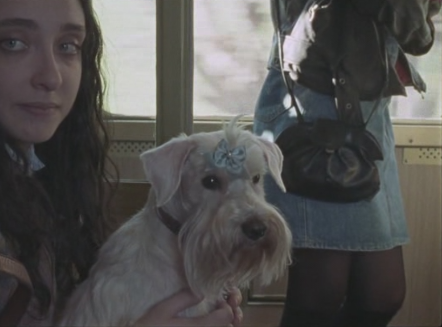 Кадр из фильма