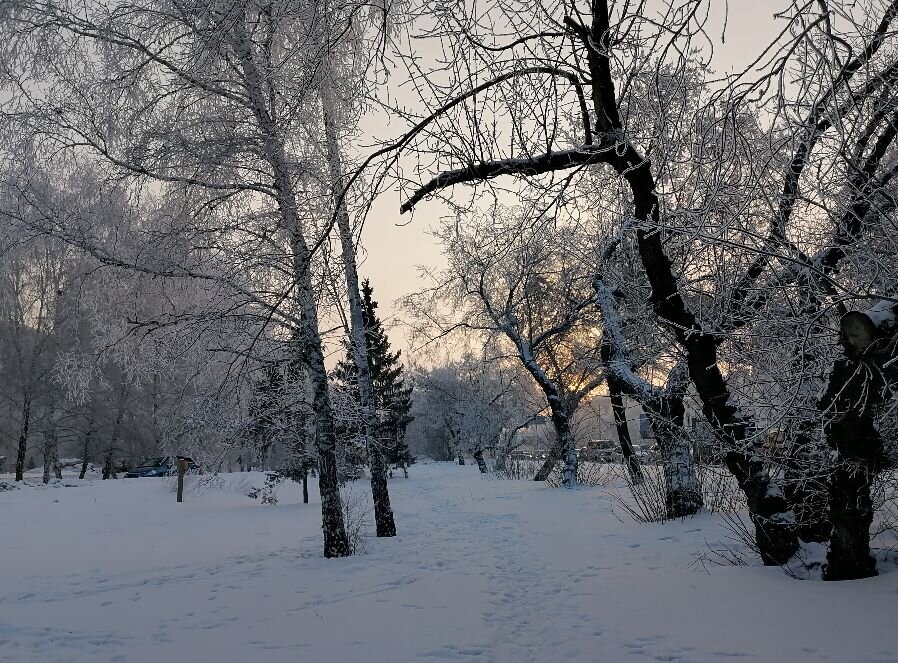Это у нас вчера так красиво было, сегодня уже нет инея на деревьях