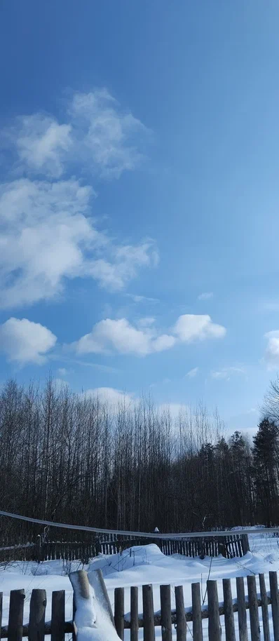 Солнце светит, небо голубое