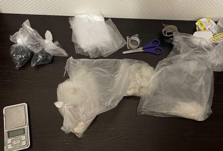    23-летняя иностранка-курьер пыталась сбыть в Оренбурге 0,5 кг наркотика Марина Шарт