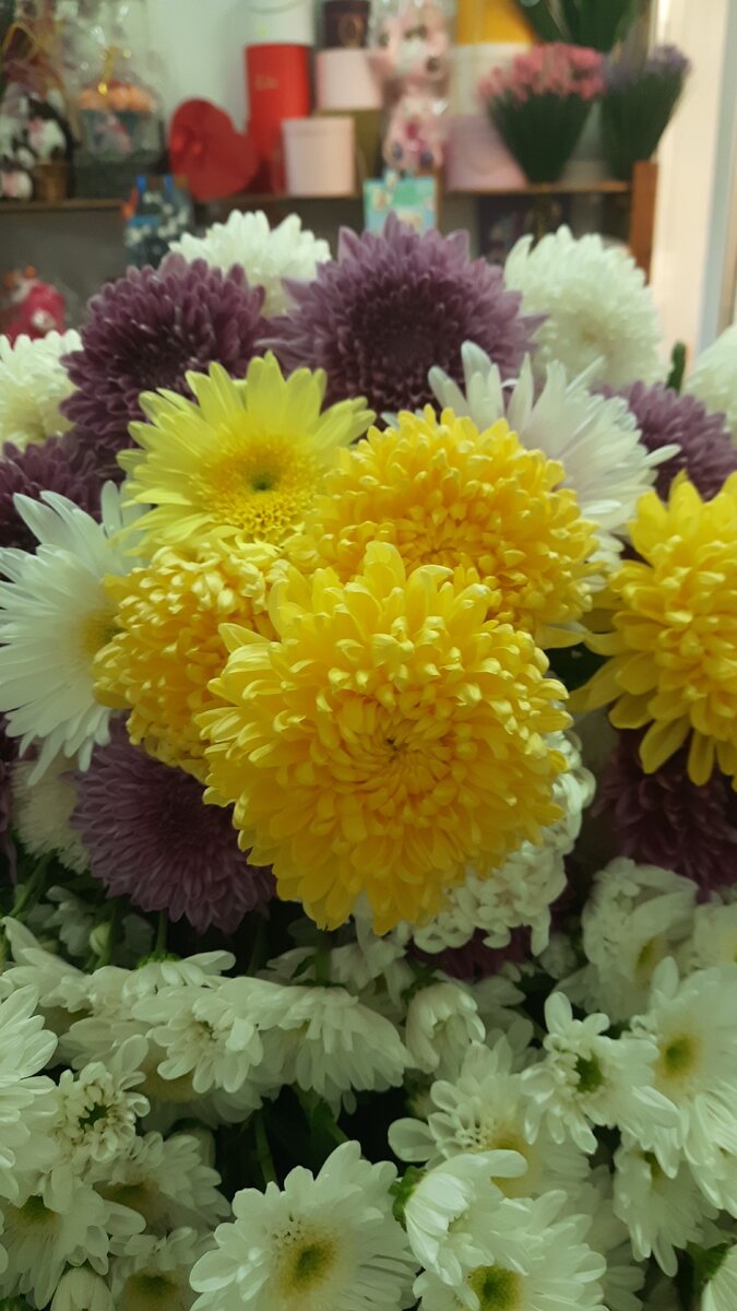 Здравствуйте всем.