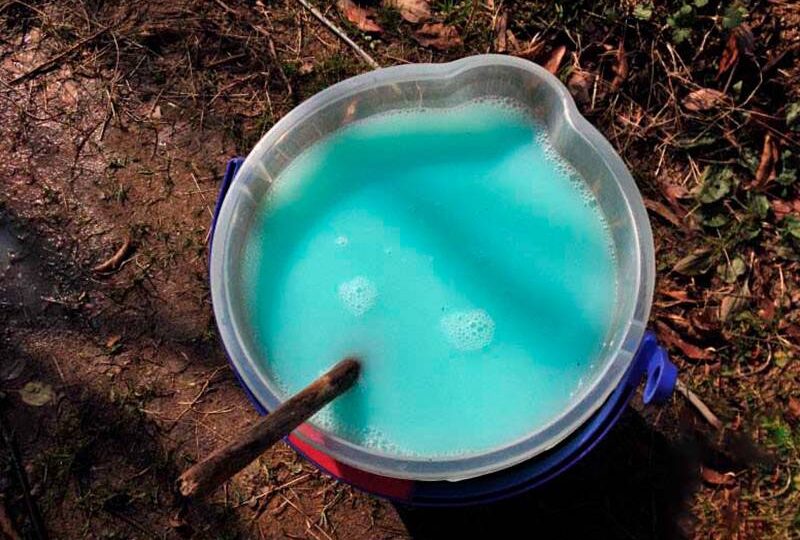 Март: первая обработка сада от вредителей и болезней