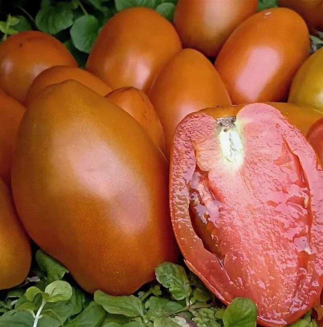 Фото из интернета. Согласитесь, похожи?