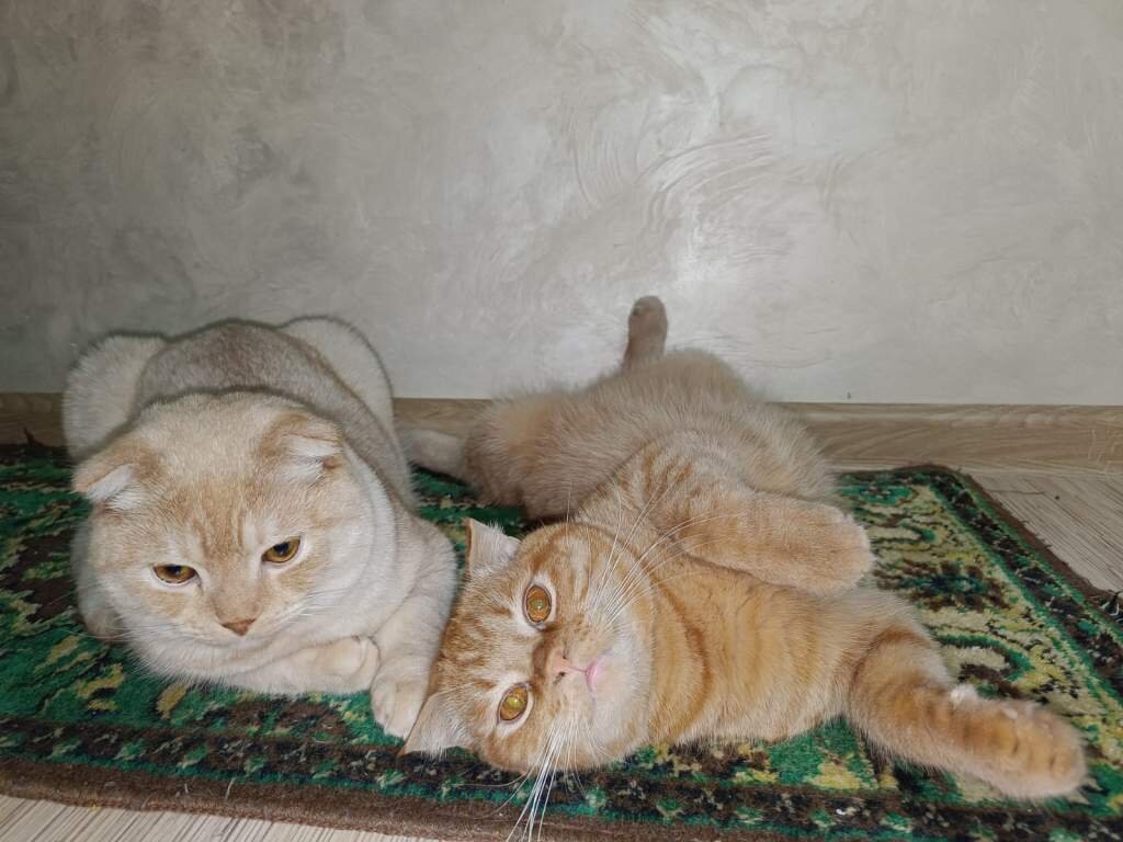 Фото Светланы Журавка.