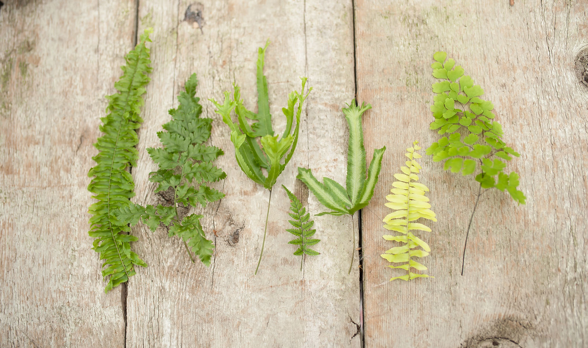 фото из открытого источника