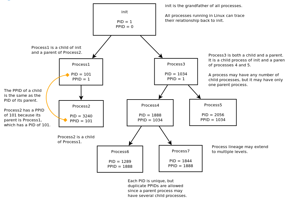 Process pid. Pid process. Идентификатор процесса (pid) (pid (process identifier). Pid Linux. Процесс init.