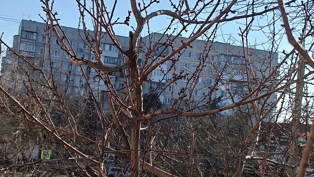     Жители улицы Ставропольской сообщили, что примерно в 15:30 мск в районе остановки «Таманская» был слышен очень громкий звук в небе.