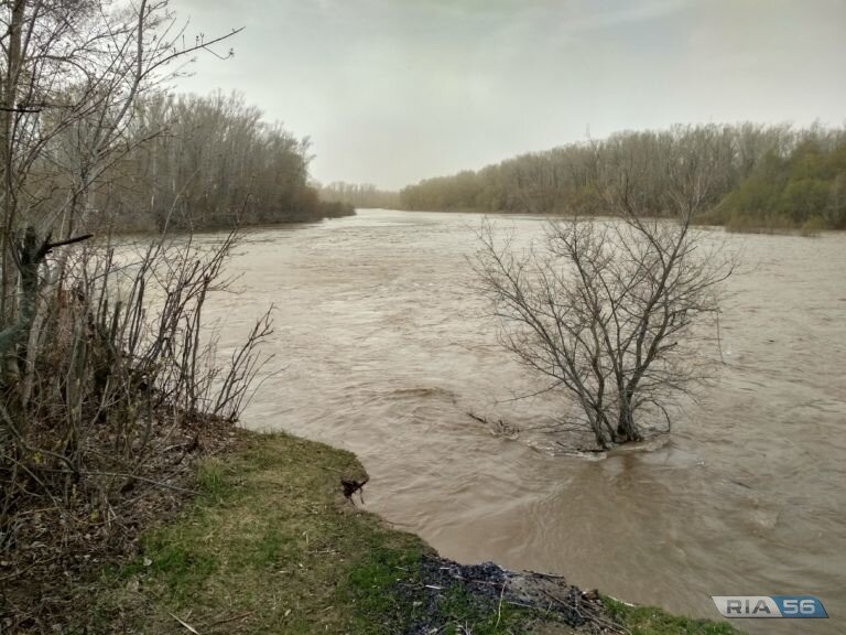    Прогноз и обстановка. Оренбуржье готовится к прохождению весеннего паводка Андрей Севостьянов