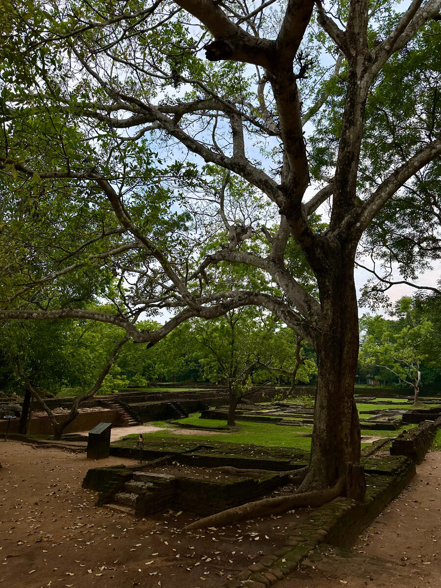 шри ланка сейчас. мирисса шри ланка на карте. что происходит на шри ланке сейчас. протесты в шри ланке 2022. церковь в шри ланке теракт.
