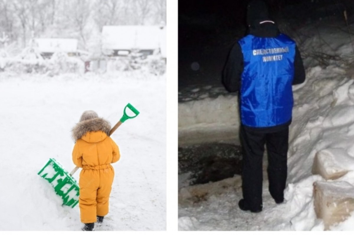    В ситуации разбираются следователи.