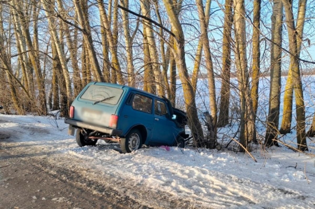    Под Воронежем водитель автомобиля врезался в дерево
