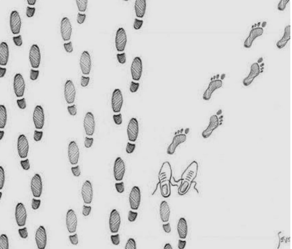 Я снова студент!