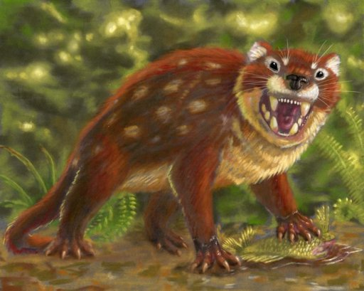 Дидельфодон