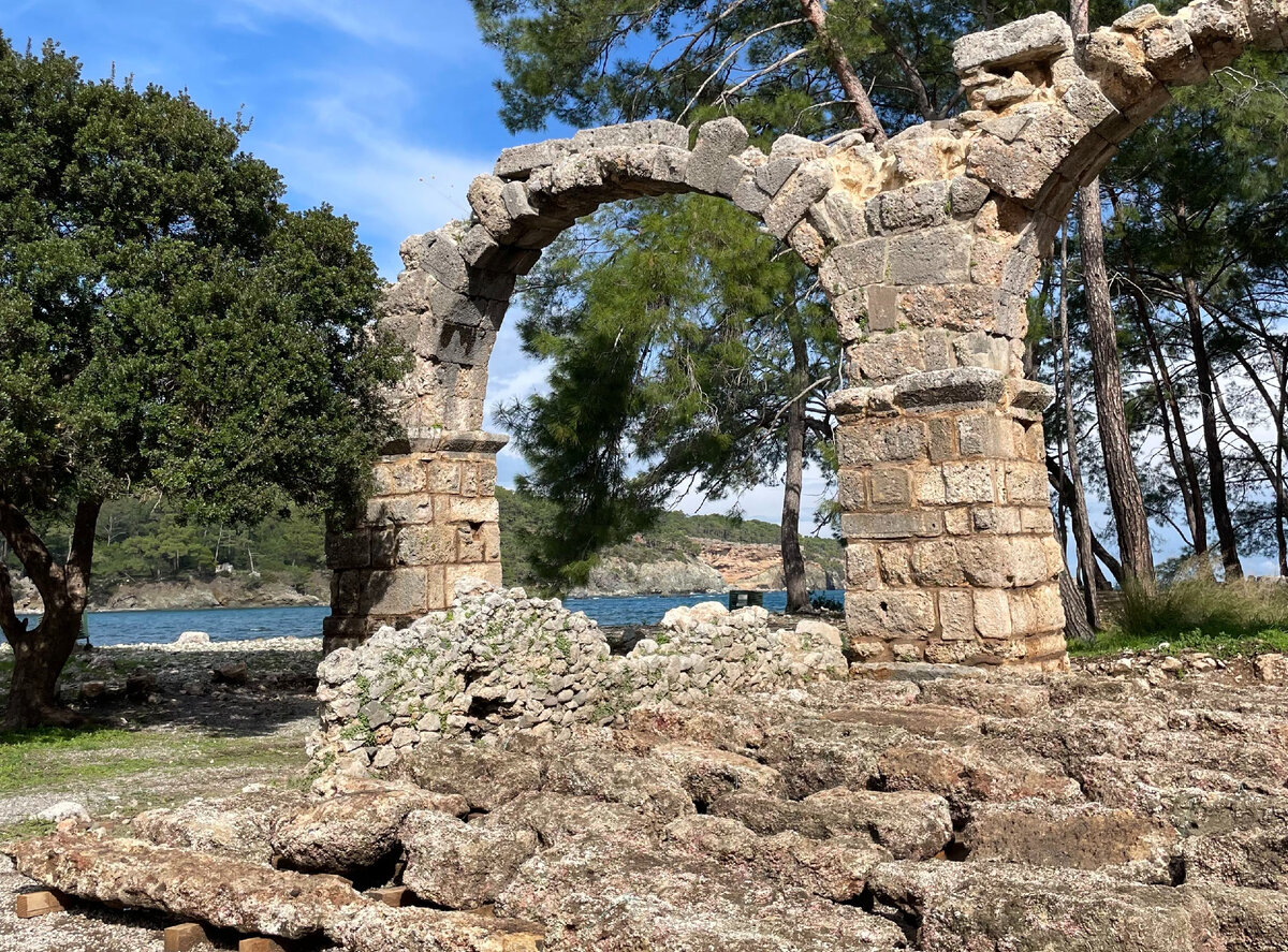 Фото сделано племянницей автора