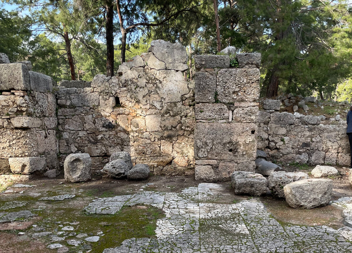 Фото сделано автором