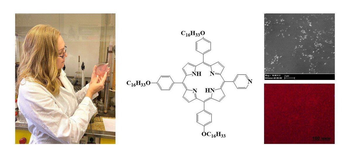 Тертышная Ю.В. с полученным образцом; структурная формула 5-(4-пиридил)-10,15,20-трис(4-н-гексадецилоксифенил)порфирина;  морфология пленочного образца.