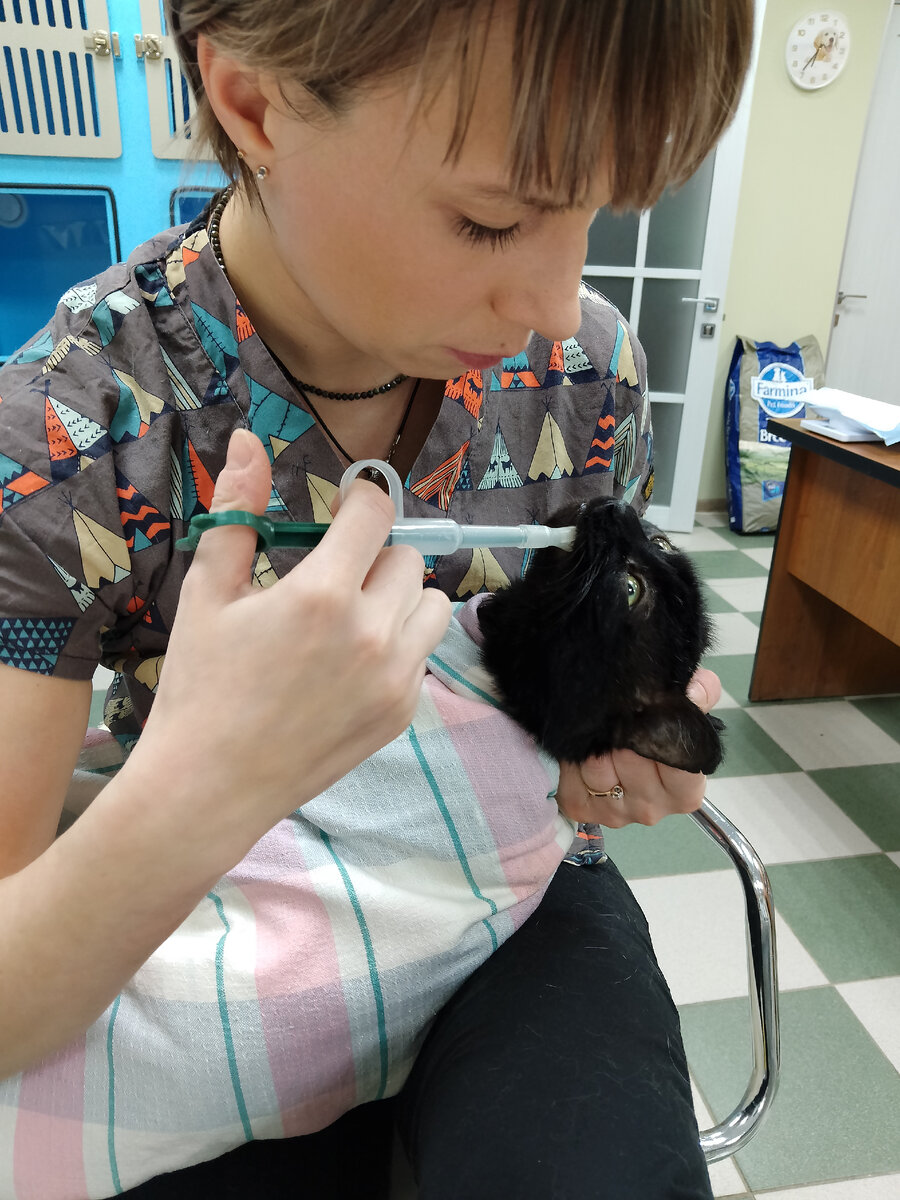 Таблетка от глистов. 